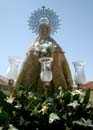Imagen_flores