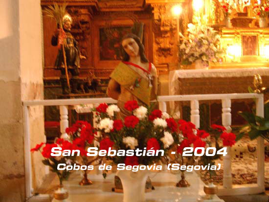 IMGP0691